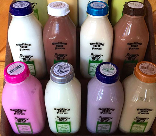Farm Fresh White and Flavored Milks in Westbrook, Maine. Farm Fresh White and Flavored Milks in Westbrook, Maine.